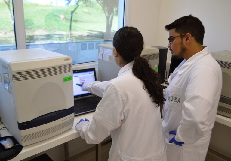 PREVENÇÃO: Com mais de 40 mil amostras analisadas, Brasil segue livre de influenza aviária