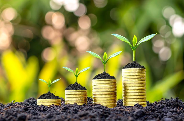 CRÉDITO RURAL: Liberação no Plano Safra 2022/23 alcança R$ 267 bilhões em nove meses