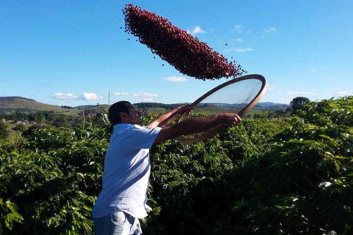 IDR-PR: ExpoLondrina recebe o tradicional encontro de cafeicultores do Paraná