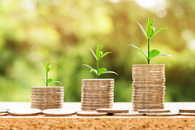 CRÉDITO RURAL: BNDES e Mapa anunciam nova linha de financiamento para o agro