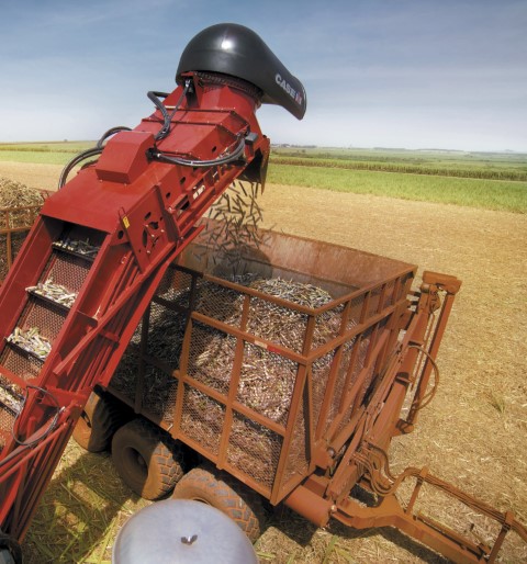 CONAB: Produção de cana chega a 610,1 milhões de toneladas na safra 2022/23 com melhora na produtividade nas lavouras