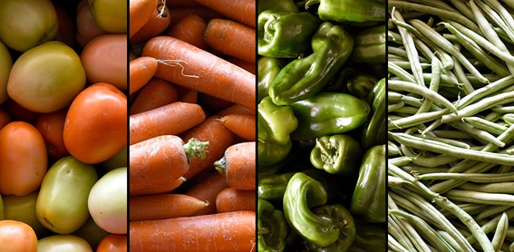 MERCADO: Estudo aponta dinâmica dos preços de commodities agrícolas e as perspectivas para os próximos meses