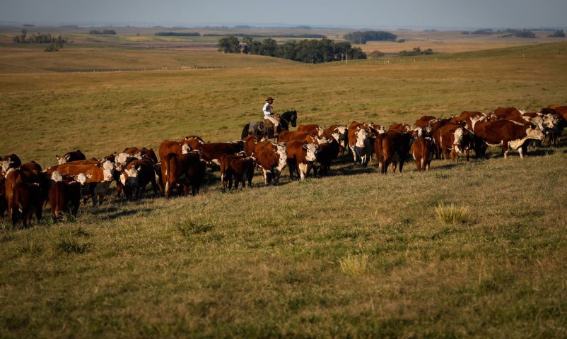 ECONOMIA II: Produto Interno Bruto cresce 2,5% em fevereiro