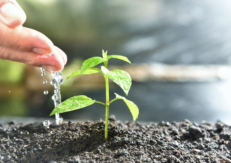 SUSTENTABILIDADE: Brasil moderniza procedimentos para registro de produtos biológicos