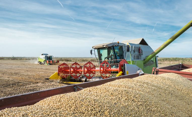 CRÉDITO RURAL I: Valor contratado no plano safra 2022/23 supera R$ 290 bilhões em dez meses
