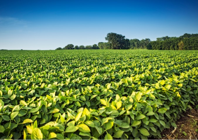AGRO: Copagril orienta associados no planejamento da safra verão 2023/2024