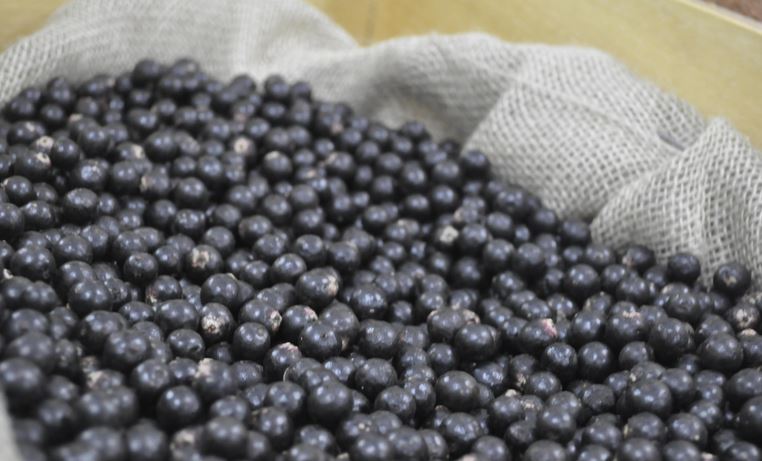 EXPORTAÇÕES: Brasil contabiliza a abertura de 20 mercados para produtos do agro em 2023