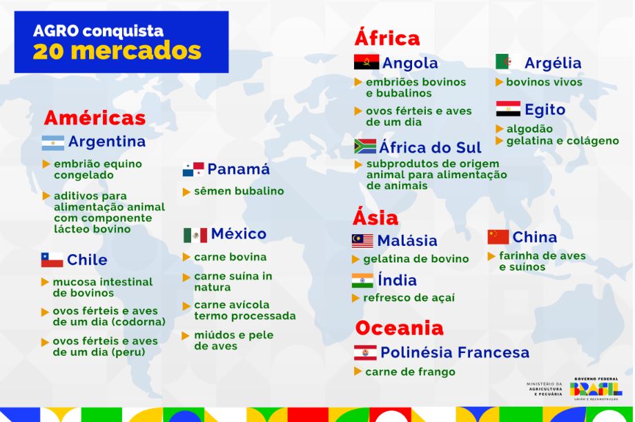 exportacao quadro 17 05 2023
