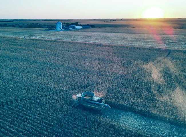 ARTIGO: LCA – Letra de Crédito do Agronegócio