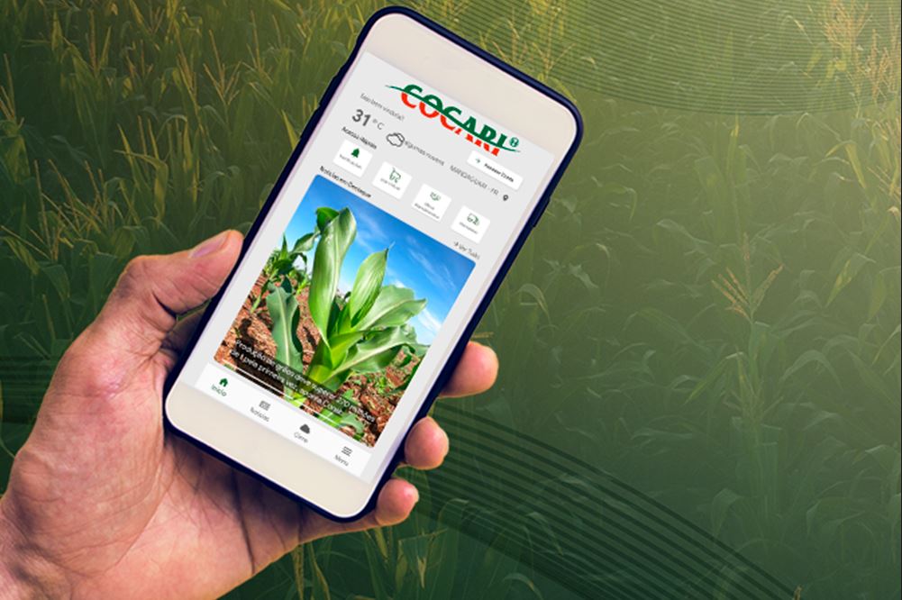AGRO: Aplicativo Cocari traz maior praticidade com segurança aos cooperados
