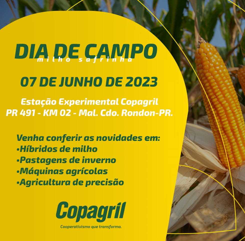 AGRO: Copagril promoverá Dia de Campo do Milho Safrinha no dia 7 de junho