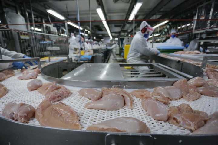 COMÉRCIO EXTERIOR: Paraná atinge 2 milhões de toneladas de proteínas exportadas pela primeira vez na história