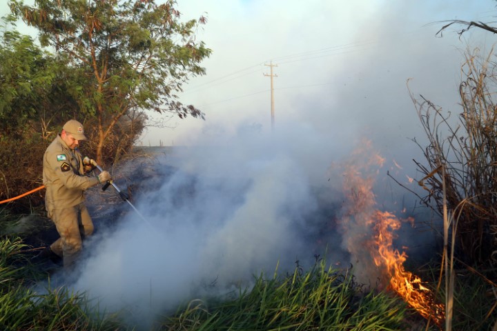 AGRICULTURA: Estado lança nesta semana campanha de prevenção e combate a incêndios florestais