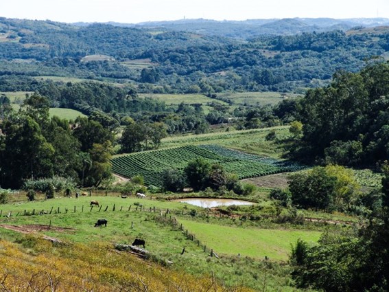 CÂMARA: Comissão de Agricultura debate regulamentação da política de pagamento por serviços ambientais
