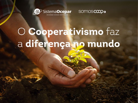MEIO AMBIENTE: Dia Mundial tem ações de conscientização sobre a preservação dos recursos naturais; foco deste ano é o combate à poluição plástica