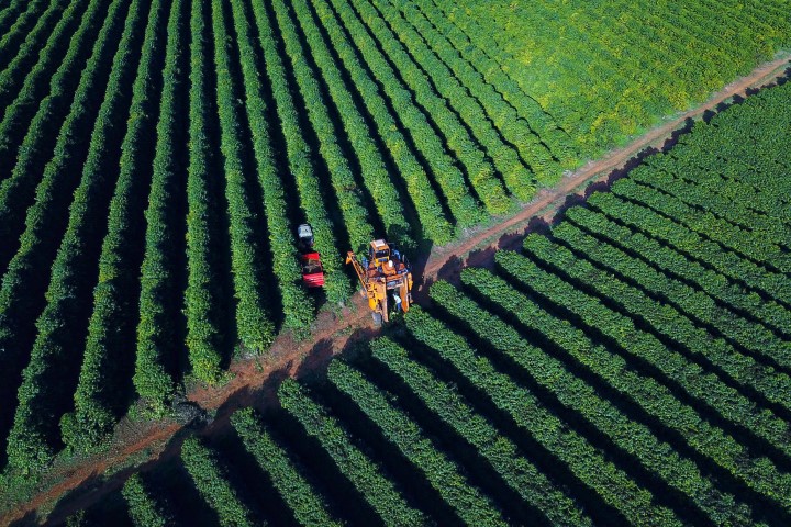 ABC+PR: Com Plano Estadual de Baixa Emissão de Carbono, sistema de agricultura do Paraná assume desafios ambientais