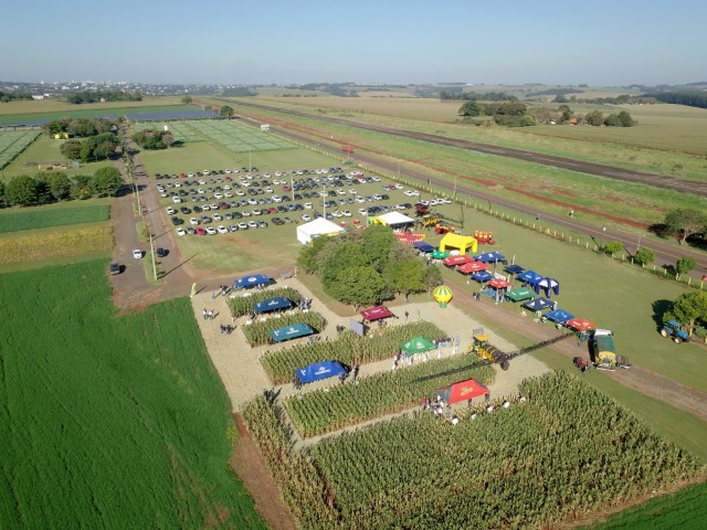 AGRO: Dia de Campo Milho Safrinha Copagril apresentou novidades em híbridos