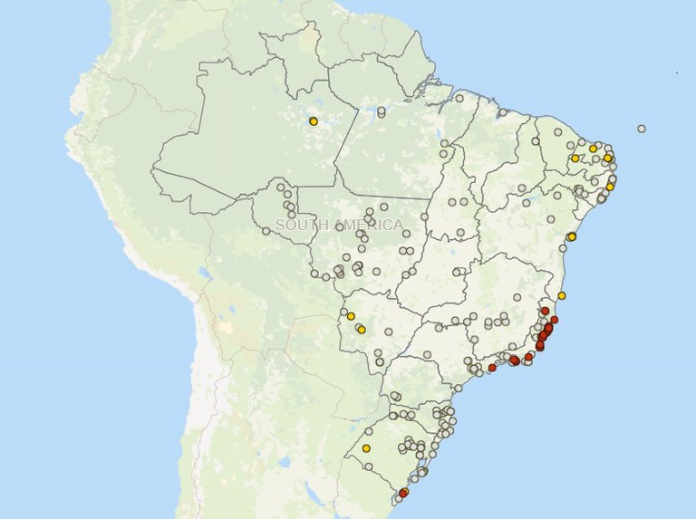 INFORMAÇÕES: Mapa disponibiliza painel sobre focos confirmados de Influenza Aviária