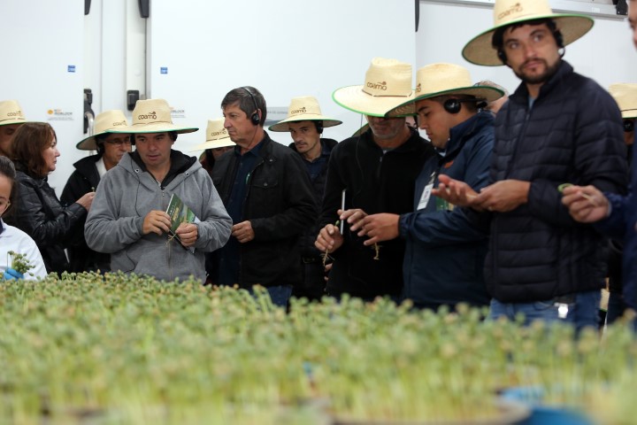 AGRO: Coamo realiza 17º Encontro de Inverno na Fazenda Experimental 