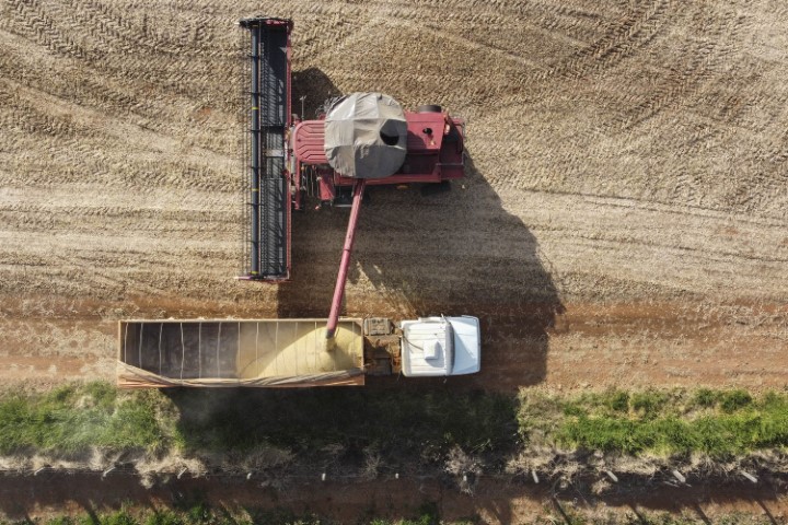 CONJUNTURA AGROPECUÁRIA: Com baixa cotação, comercialização da safra recorde de soja ainda está lenta no Paraná