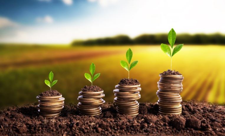 SAFRA 2022/23: Desembolso do crédito rural alcança R$ 318,7 bilhões em 11 meses