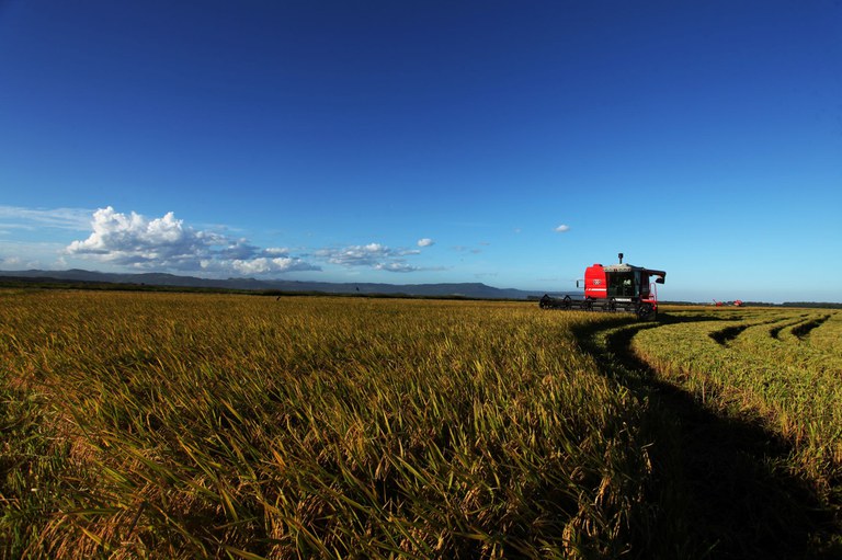 VBP: Valor Bruto da Produção Agropecuária em 2023 é estimado em R$ 1,179 trilhão