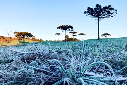 CLIMA: Simepar prevê inverno com poucas ondas de frio, veranicos, nevoeiros e geadas