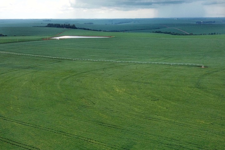AGRICULTURA: IDR-Paraná alerta produtores de milho e cereais de inverno sobre atividade do El Niño