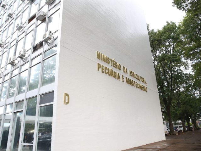 INFLUENZA AVIÁRIA: Mapa confirma primeiro foco em ave de subsistência no Espírito Santo