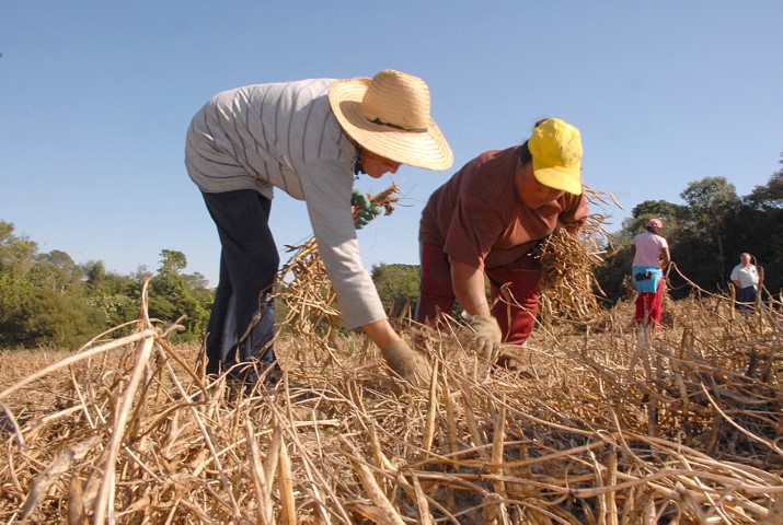 PLANO SAFRA: Restrição do acesso das cooperativas ao Pronaf Agroindústria preocupa Ocepar