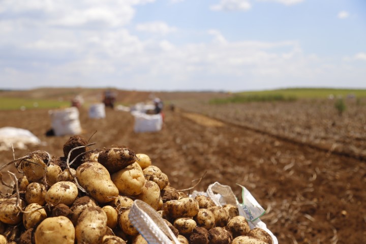 conjuntura agropecuaria 07 07 2023