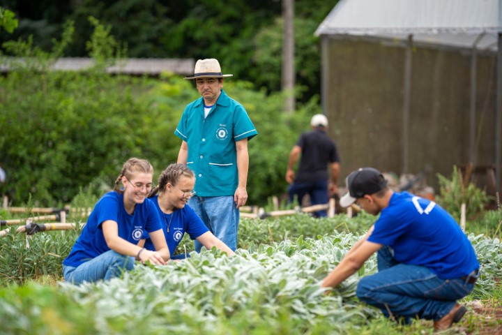 EDUCAÇÃO: Governador sanciona lei que transforma colégios agrícolas do Paraná em cooperativas-escola