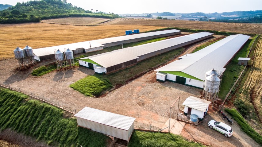 ESG: Avicultura do Paraná adota modelo de desenvolvimento sustentável 