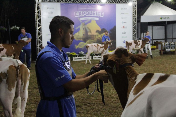AGRO: 49ª Expoleite começa nesta quinta em Arapoti (PR) e evidencia a força do setor leiteiro na região
