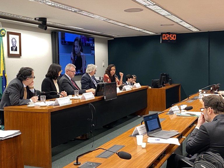 AUDIÊNCIA PÚBLICA: Lei da União Europeia sobre o desmatamento foi discutida na Câmara dos Deputados