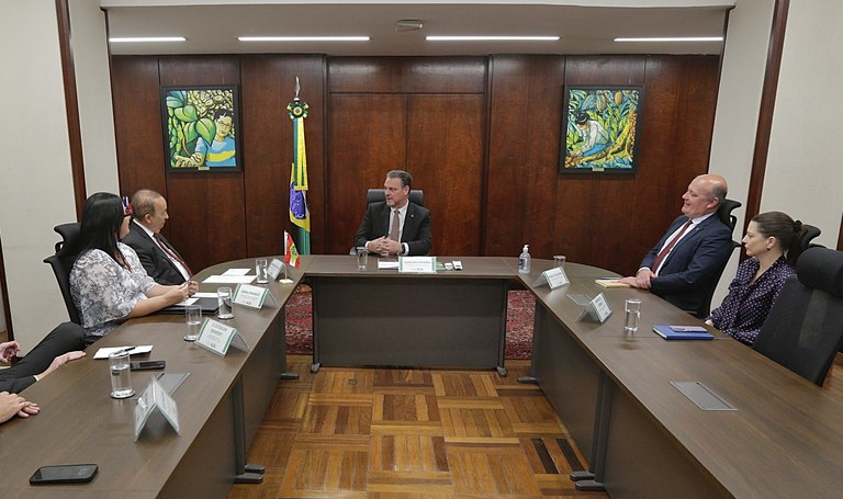 INFLUENZA AVIÁRIA: Retomada de exportações de frango de Santa Catarina para o Japão será debatida em missão do Mapa ao país asiático