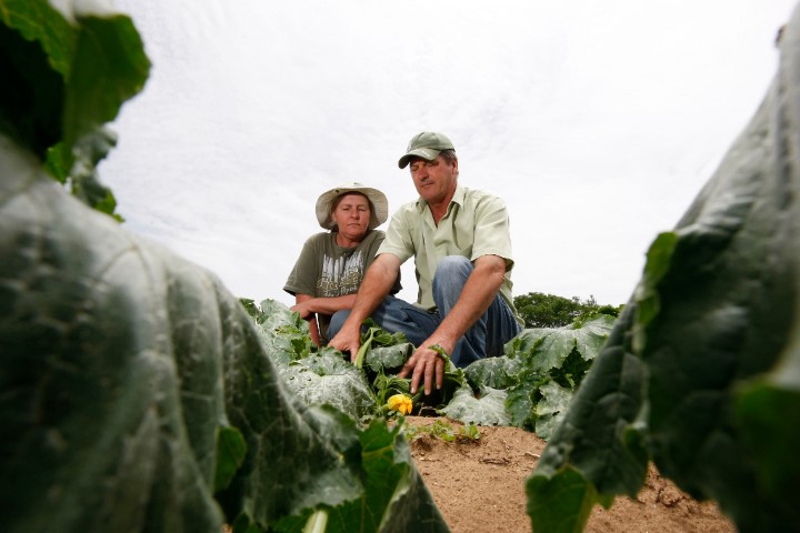 PAA: Acordo visa ampliar acesso da agricultura familiar às compras institucionais