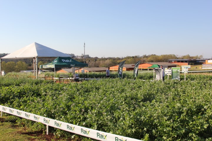 AGRO: Vinte empresas terão novidades durante o Show Rural de Inverno