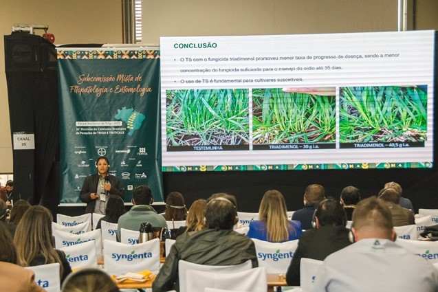 AGRO: Pesquisas e perspectivas para o cultivo de trigo pautam o primeiro dia da 16ª RCBPTT