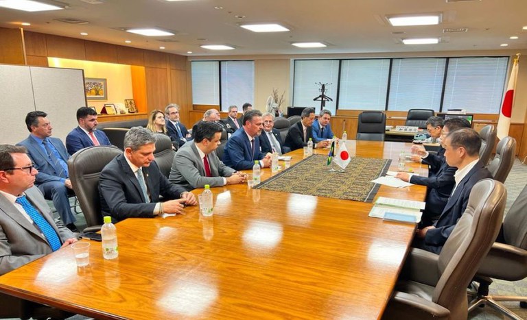 INFLUENZA AVIÁRIA: Japão concorda com solicitação brasileira para regionalização de protocolo por município