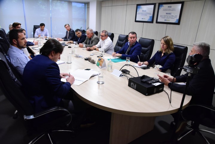 ENERGIA: Paralelismo de rede na distribuição é tema de reunião com a Aneel