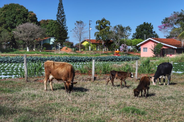 IDR-PARANÁ: Publicação traça perfil das propriedades rurais do Estado