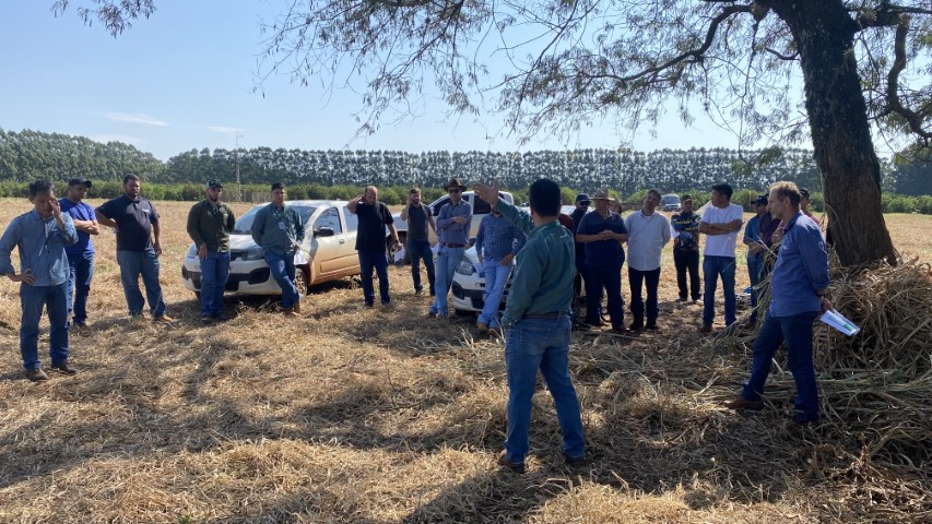 AGRO: Cocamar promove o Giro Técnico de Mandioca no noroeste do Paraná