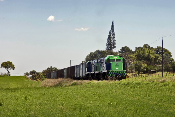 INFRAESTRUTURA: Estado vai protocolar no Ibama estudos atualizados sobre o traçado da Nova Ferroeste