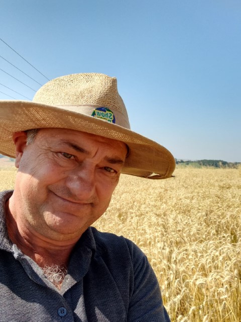 AGRO: Produtores que escolheram cultivares de trigo no Show Rural obtêm bons resultados