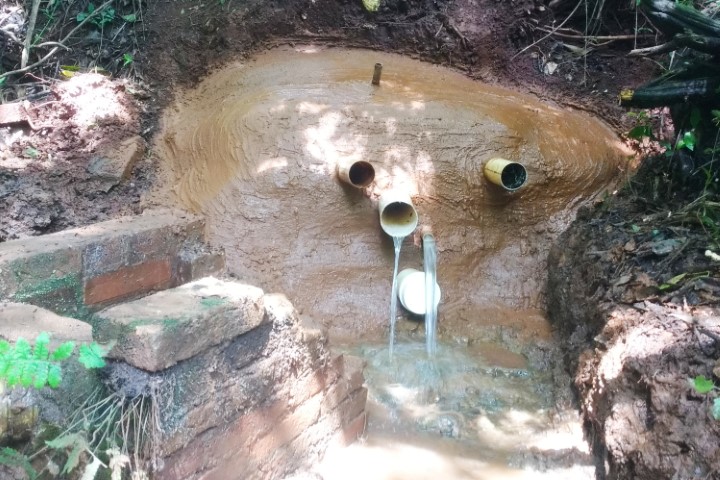 AGRO: Projeto Olho D'Água da Cocari ajuda cooperados a recuperar nascentes 