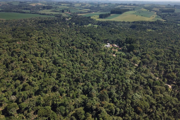 ORGULHO DA TERRA 2023: Com inclusão da erva-mate, Prêmio destaca boas práticas no campo