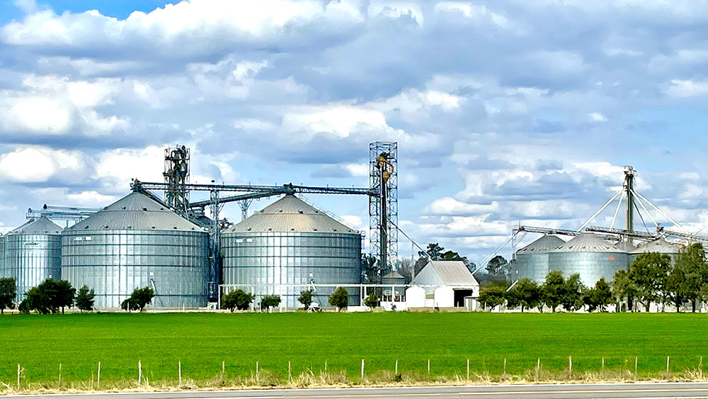 COOPERATIVISMO: Faturamento das cooperativas cresce 11,8% no primeiro semestre