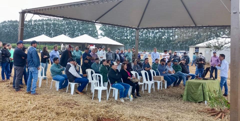 AGRO: Cocamar promove Dia de Campo sobre Mandioca com palestras e giro técnico  