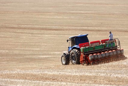 CONJUNTURA AGROPECUÁRIA: Após vazio sanitário, plantio de soja já começou no Paraná; colheita do milho está no fim